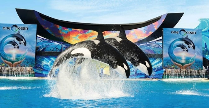 Comprando os ingressos pela internet: SeaWorld Califórnia Comprando os ingressos pela internet: SeaWorld Califórnia