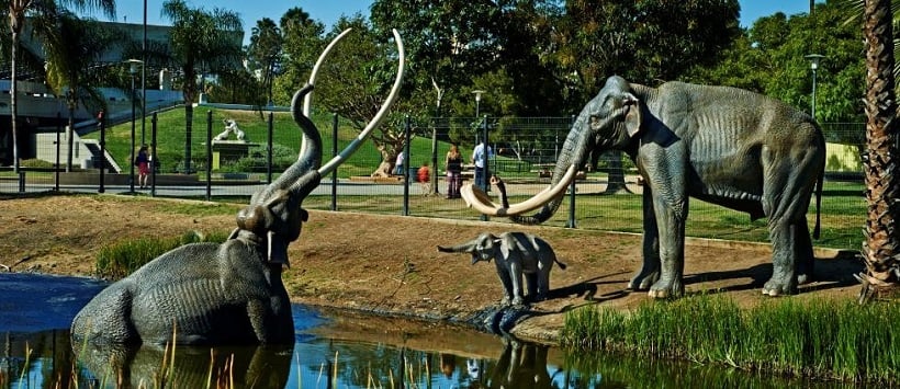 Informações sobre La Brea Tar Pits em Los Angeles Informações sobre La Brea Tar Pits em Los Angeles
