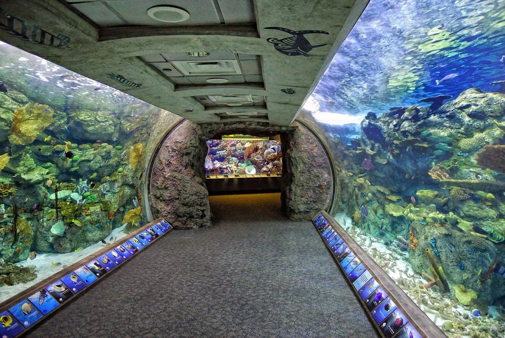 Aquarium of the Pacific Aquarium of the Pacific