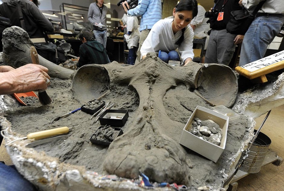 Atrativos no La Brea Tar Pits em Los Angeles Atrativos no La Brea Tar Pits em Los Angeles