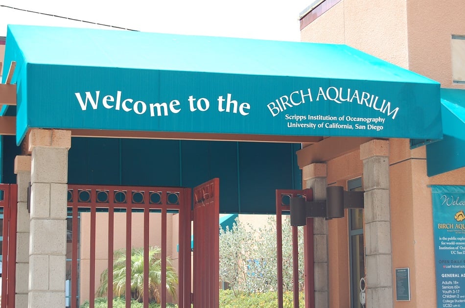 Birch Aquarium em La Jolla em San Diego Birch Aquarium em La Jolla em San Diego