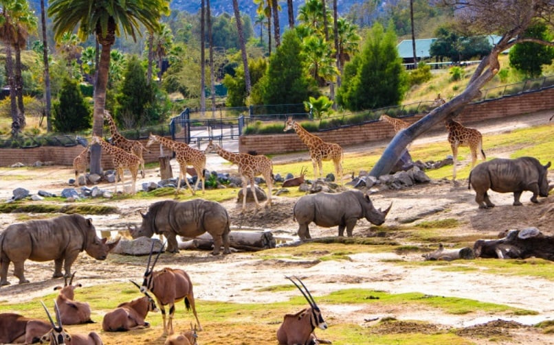 San Diego Zoo Safari Park San Diego Zoo Safari Park