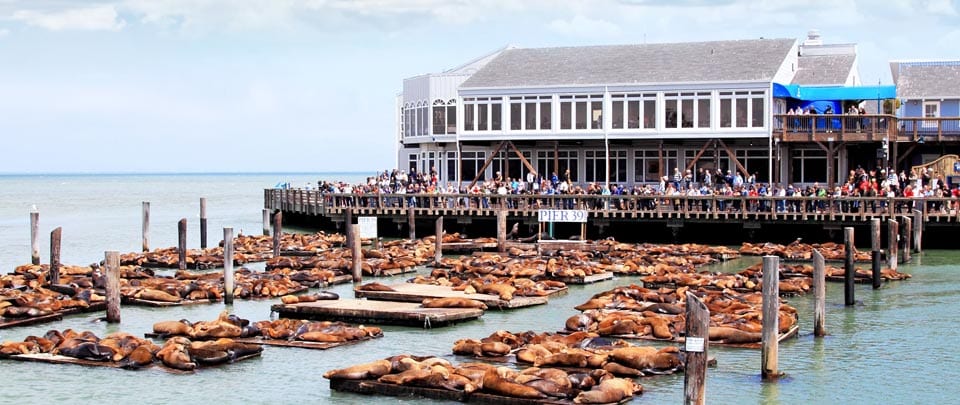 Aquarium of the Bay em San Francisco Aquarium of the Bay em San Francisco
